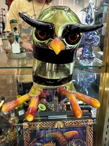 Preview pic of 10mm female Og Shackman owl