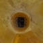 Small image 6