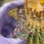 Small image 4