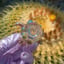 Small image 5