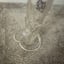 Small image 6