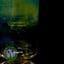 Small image 6