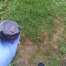 Small image 4