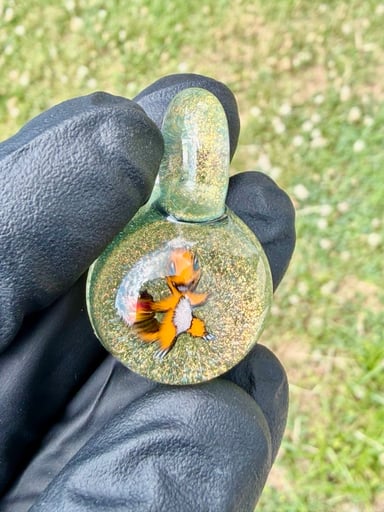 Preview pic of Charmander orange dichro