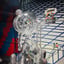 Small image 8