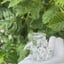 Small image 9