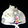 Small image 2
