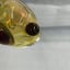 Small image 9