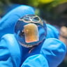 Small image 1
