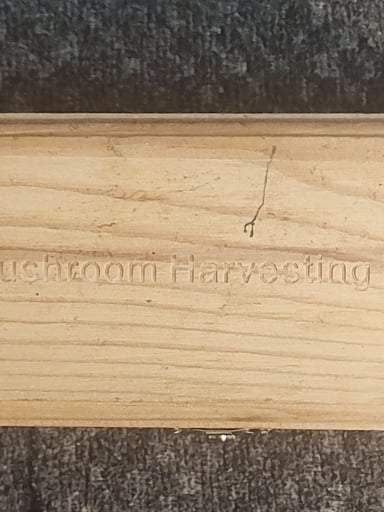 Preview pic of MUSHROOM CUTTER