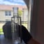 Small image 6