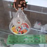 Small image 5