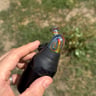 Small image 0