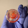 Small image 1