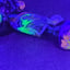 Small image 7