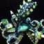 Small image 8