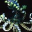 Small image 7