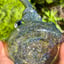 Small image 9
