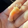 Small image 3