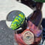 Small image 1