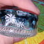 Small image 9