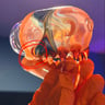 Small image 5