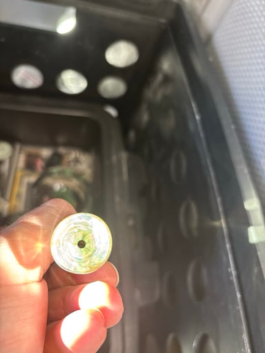 Preview pic of One hitter