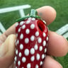 Small image 3