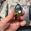 Small image 4