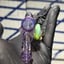 Small image 4