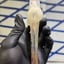 Small image 5