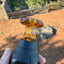 Small image 8