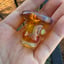 Small image 5