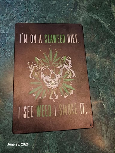 Preview pic of Decorative Image Tin 8 x12 Skull Quote