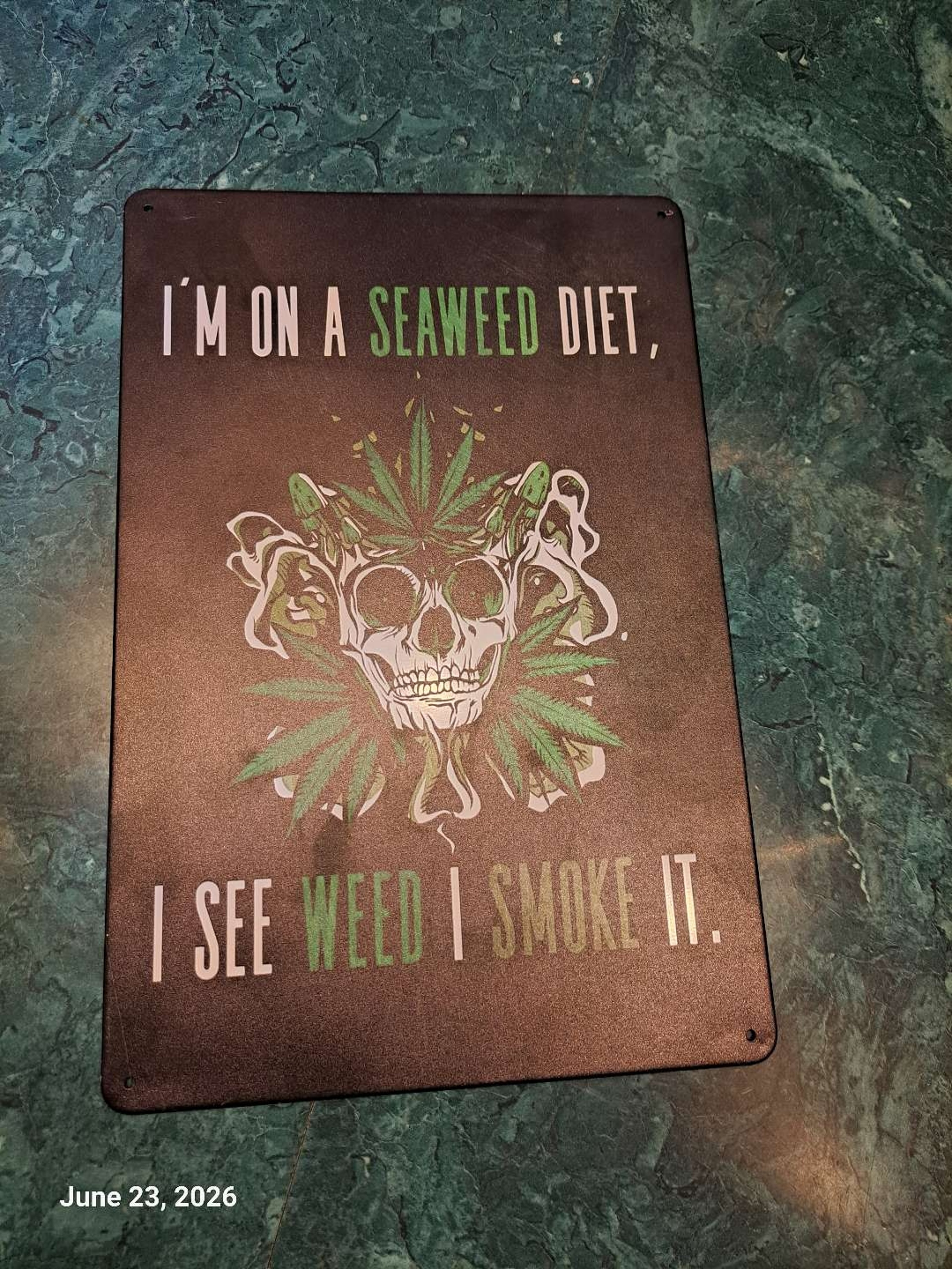 Preview pic of Decorative Image Tin 8 x12 Skull Quote