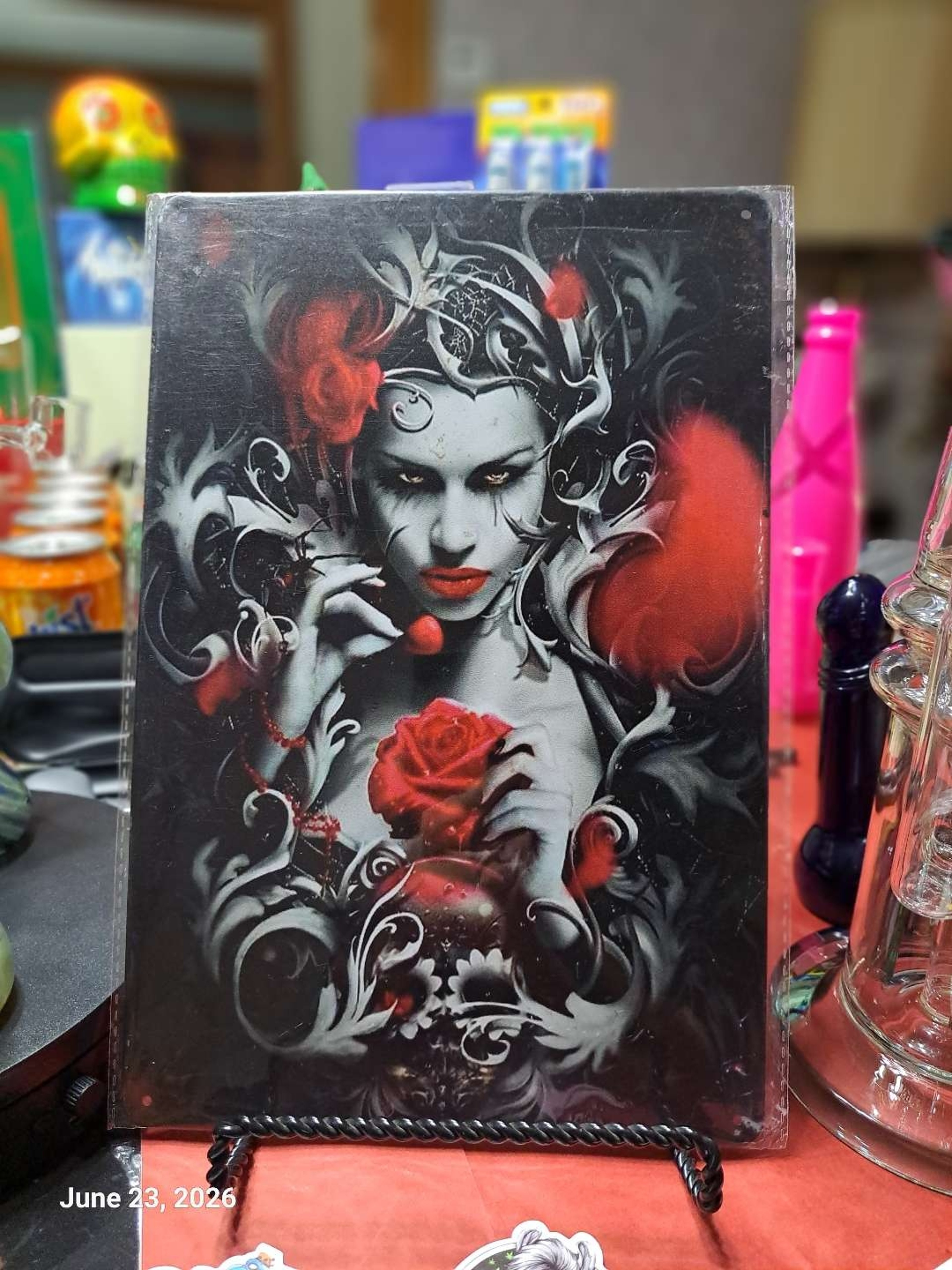 Decorative Stoner  Image Tin 8x12 Lady and Roses image 0