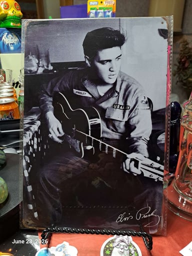Preview pic of Decorative Stoner  Image Tin 8x12 Elvis