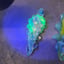 Small image 8