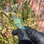 Small image 6