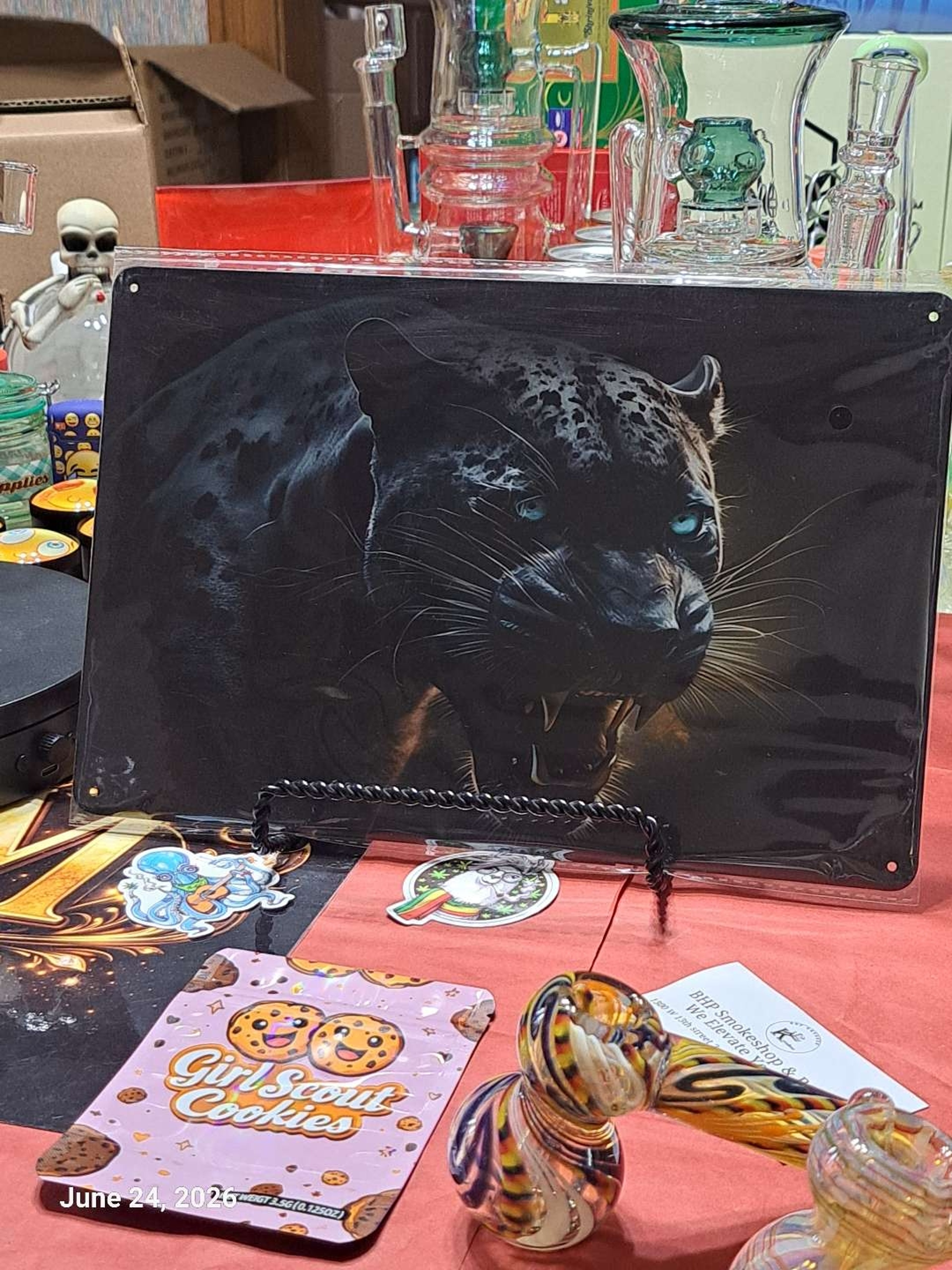 Preview pic of Decorative Stoner  Image Tin 8x12 Blue Eyed Panther