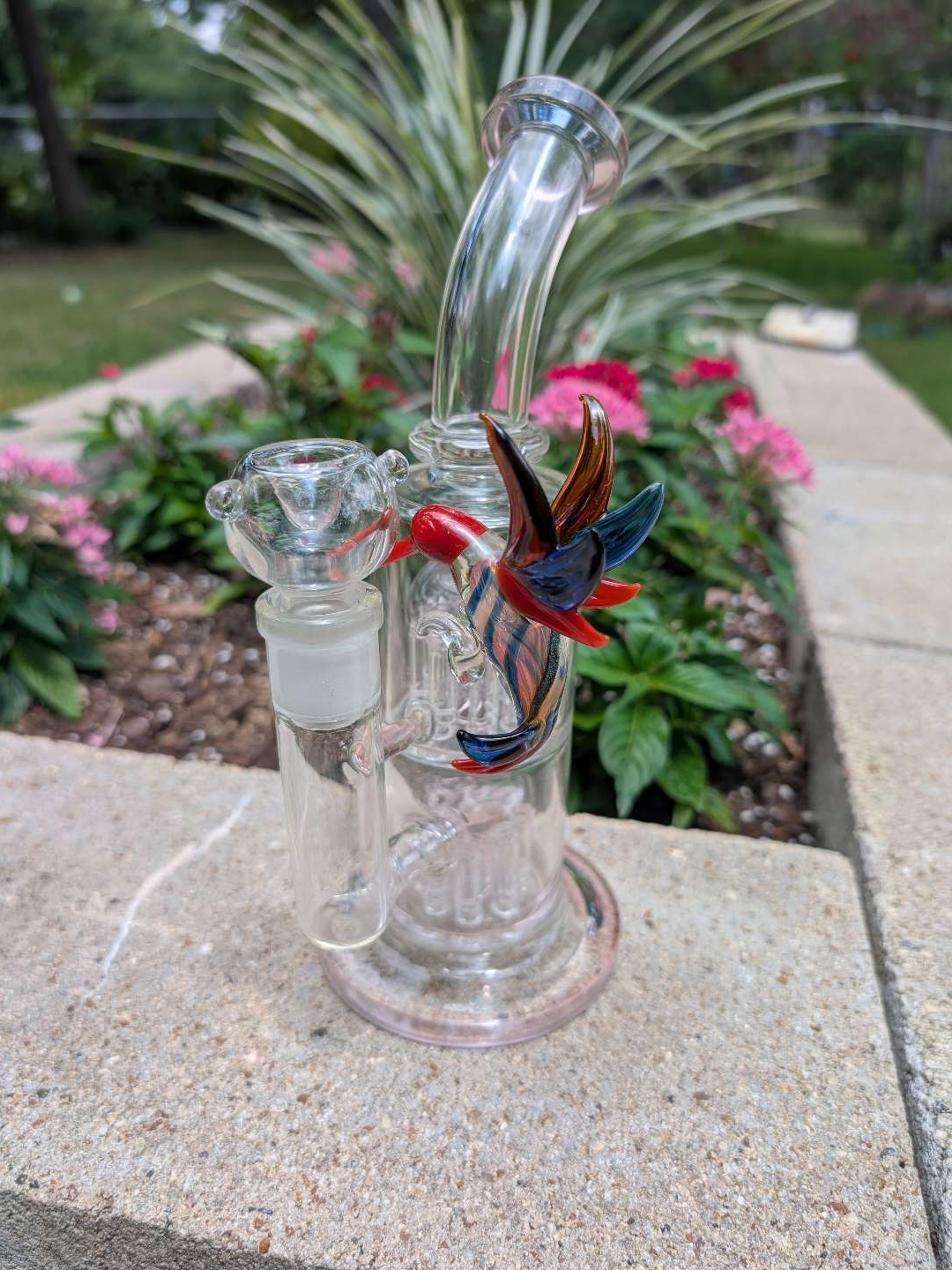 Preview pic of Clear Matrix Perc Water Pipe with Sculpted Hummingbird Accent
