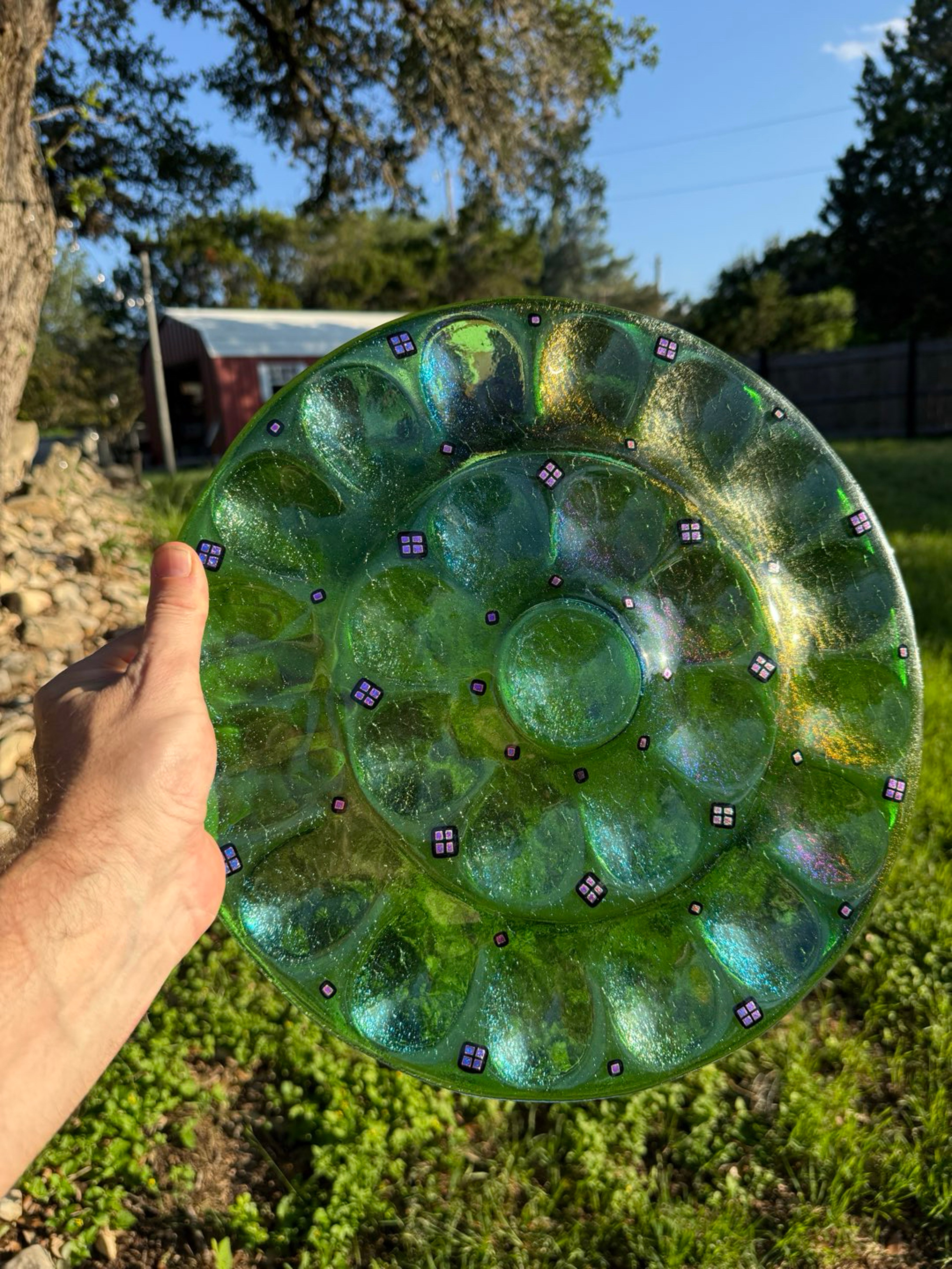 Preview pic of Matt White signed devil egg plate