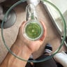 Small image 6