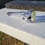 Small image 9