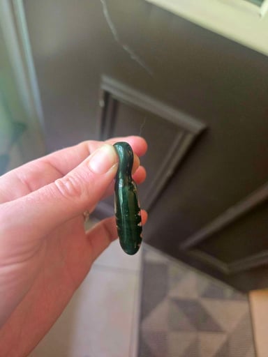 Preview pic of Timber Pendant