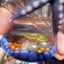 Small image 6