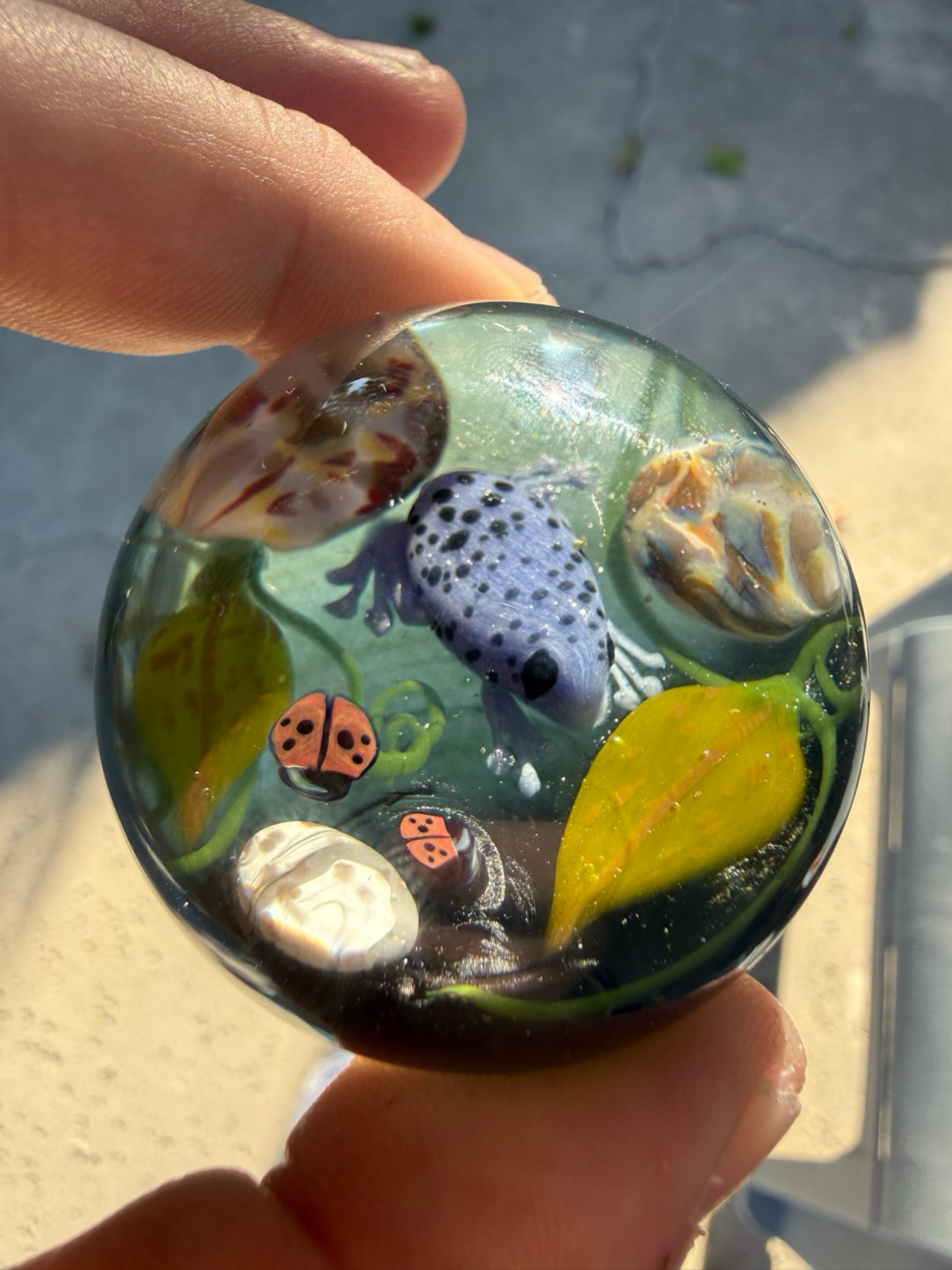 Preview pic of NO RESERVE Steve Hitt Frog Marble