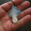 Small image 6