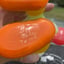 Small image 6