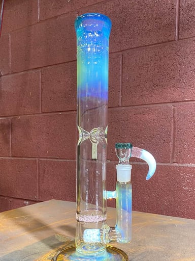Preview pic of Medium Nautilus 3/4 color accents